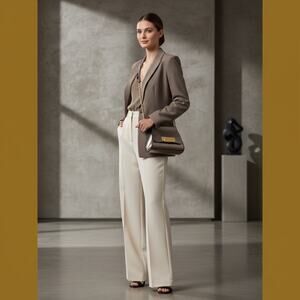 NWT Zac Posen Eartha Mini Chain Crossbody Bag Shale‎ Gold Hardware